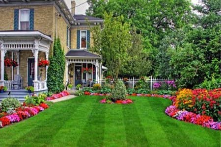 Lawn Care Thumbnail